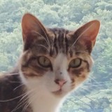 業者さん
