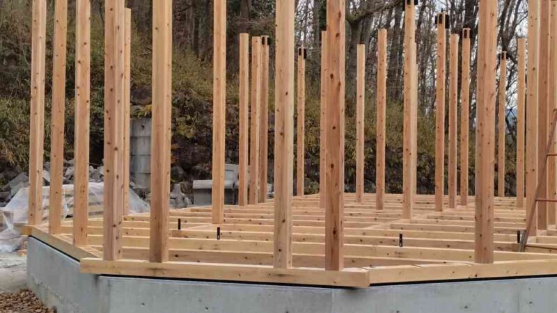 スギの柱と、ヒノキの土台、樹種あてクイズ