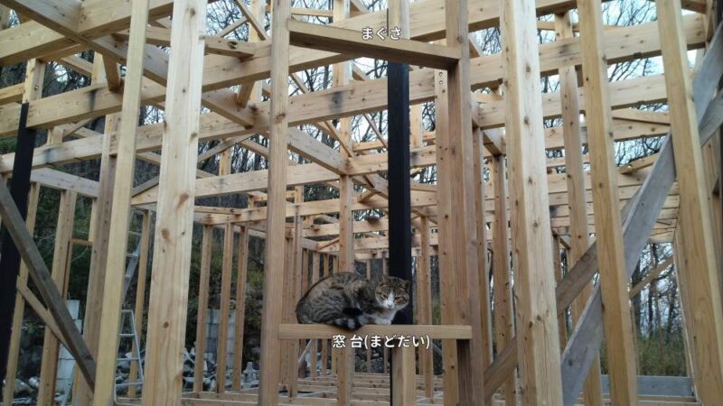 まぐさ・窓台の写真（猫付き）